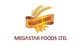 Megastar Foods Ltd Q2 FY2025 consolidated PAT at Rs. 1.60 crore